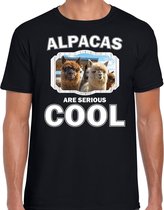 Dieren alpacas t-shirt zwart heren - alpacas are serious cool shirt - cadeau t-shirt alpaca/ alpacas liefhebber S