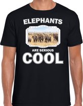 Dieren kudde olifanten t-shirt zwart heren - elephants are serious cool shirt - cadeau t-shirt olifant/ olifanten liefhebber 2XL