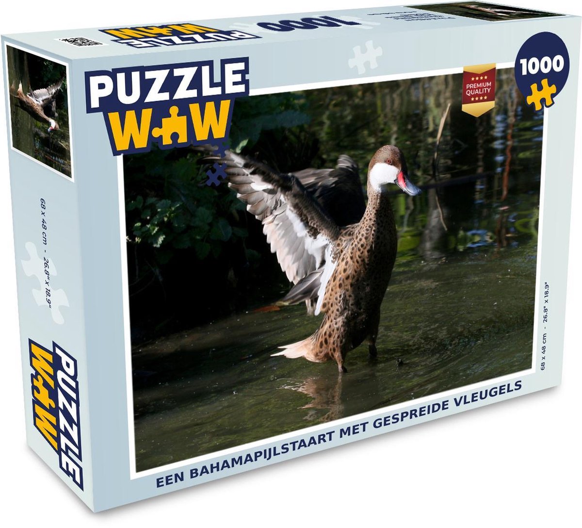 Afbeelding van product Puzzel 1000 stukjes volwassenen Bahamapijlstaart 1000 stukjes - Een Bahamapijlstaart met gespreide vleugels - PuzzleWow heeft +100000 puzzels