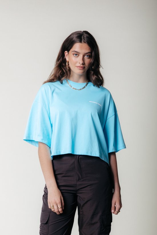 Colourful Rebel Uni Cropped Oversized Tee - S