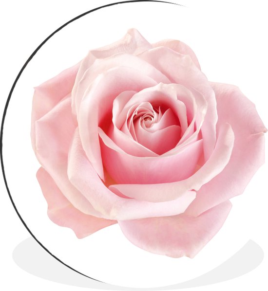 WallCircle - Wandcirkel - Muurcirkel - Roos - Roze - Bloemen - Aluminium - Dibond - ⌀ 60 cm - Binnen en Buiten