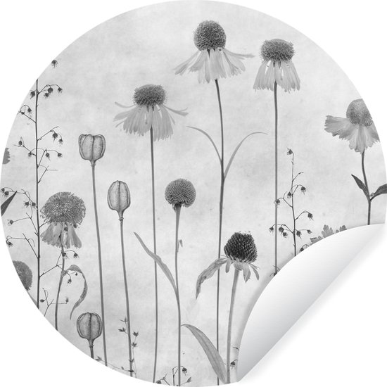 Statische raamsticker wilde bloemen - veldbloemen