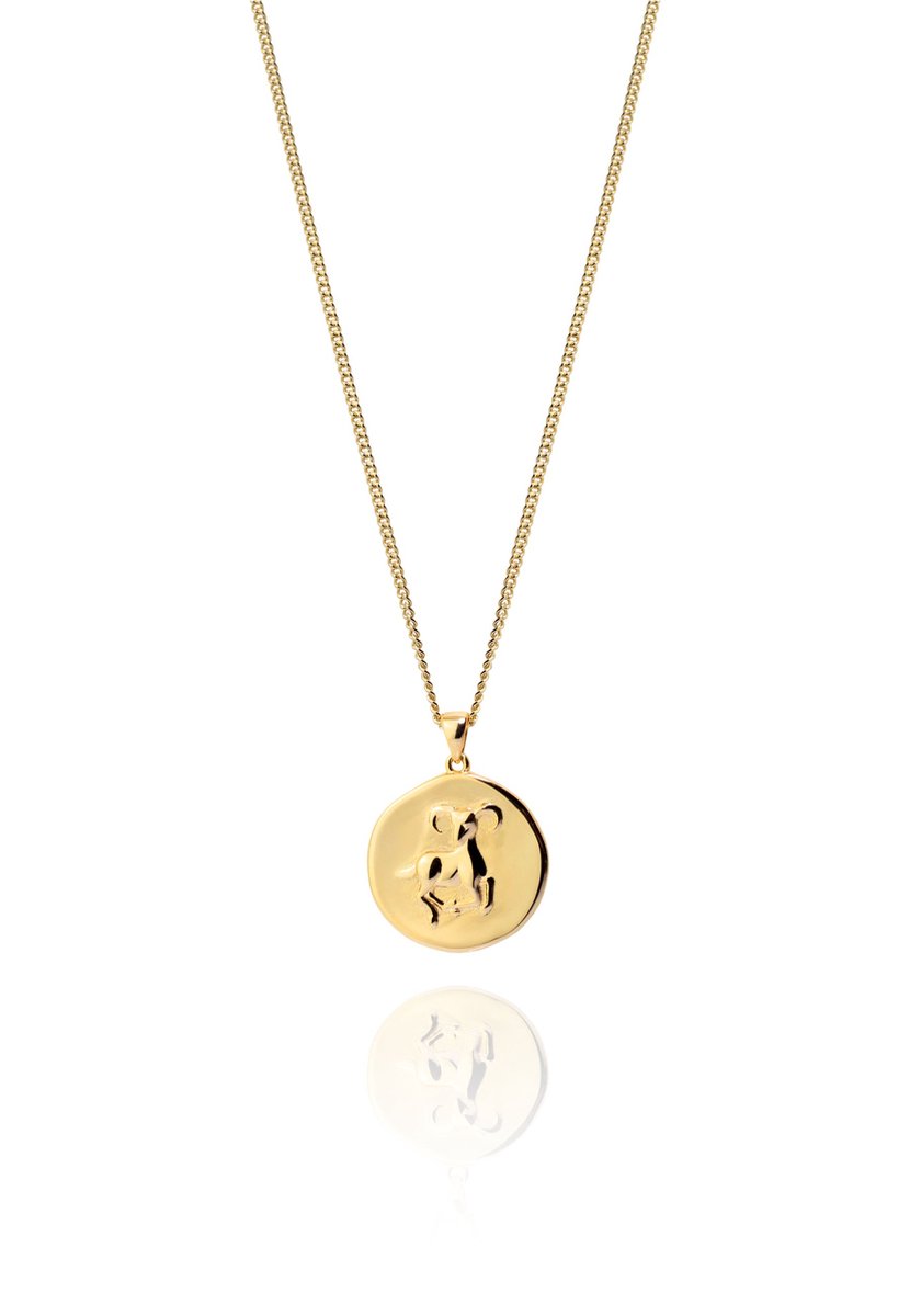 VISSEN DIERENRIEM Ketting Sterling zilver GOUD