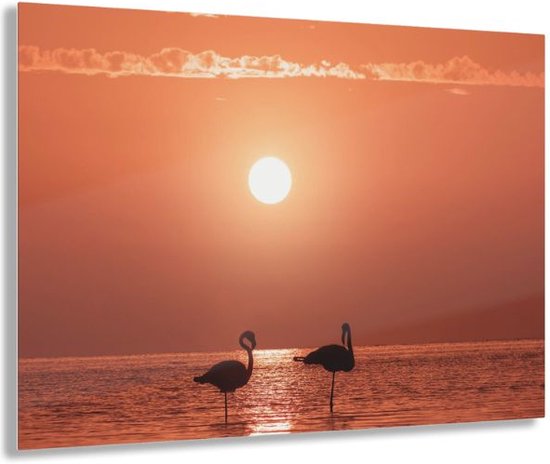 Glasschilderij flamingo sunset - Inclusief montagemateriaal