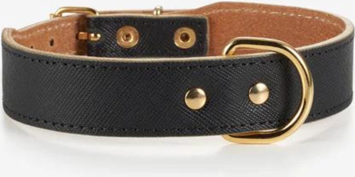 Branni Pets - Halsband - Collar Moni - Hondenhalsband - Leder - Maat S 26,5 – 32 cm