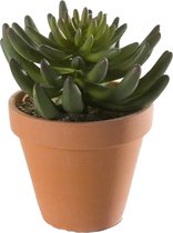 Emerald Kunstplant Sedum Rupestre vetplant - groen - in terracotta pot - 14 cm