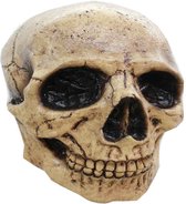 Partychimp Skelet Schedel Tanned Volledig Hoofd Halloween Masker voor bij Halloween Kostuum Volwassenen Carnaval - Latex - One size