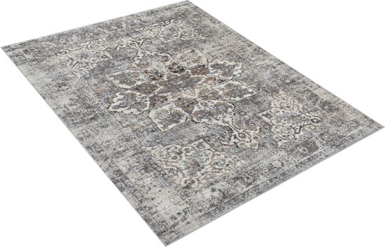 Tapiso Valley Tapis Salon Chambre Gris Clair Cadre Design Moderne Fleurs Durable Vintage Haute Qualité Tapis Taille - 200x300