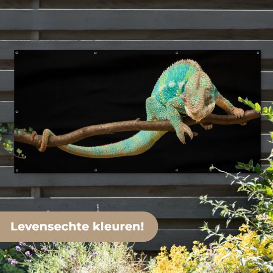 Affiche clôture Caméléon - Branche - Pastel - 200x100 cm - Toile de jardin