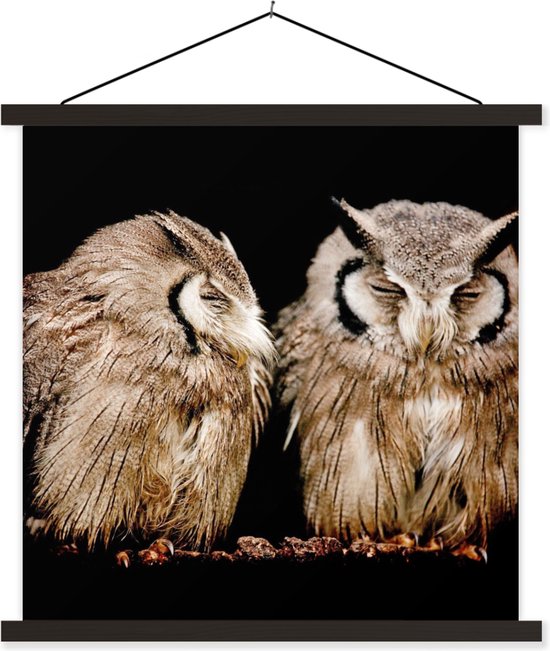Porte-affiche avec affiche - Affiche scolaire - Hibou - Vogel - Zwart - 60x60 cm - Lattes noires