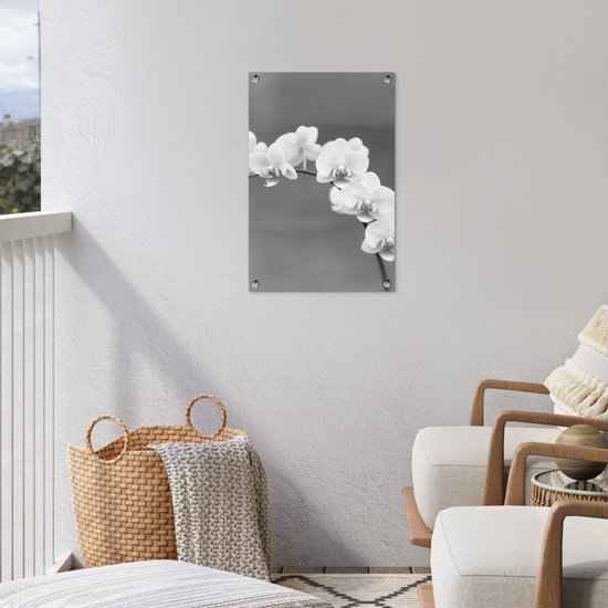 Décoration de jardin Orchidée - Fleurs - Plante - Wit - Violet - 40x60 cm - Poster jardin - Toile jardin - Poster extérieur