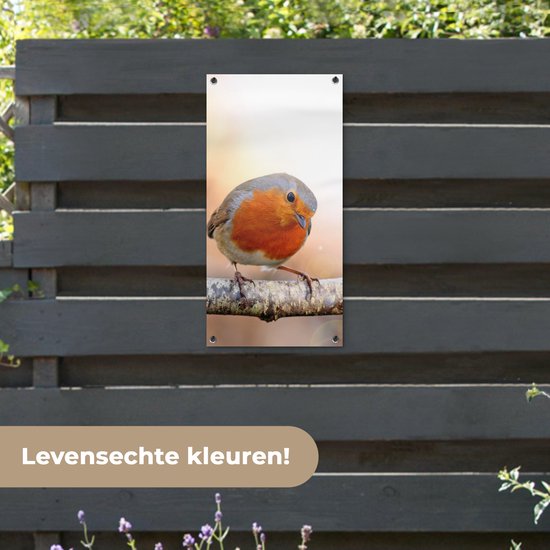 Affiche de jardin Robin - Branche - Arbre - 40x80 cm - Décoration murale Extérieur - Affiche de jardin - Toile de jardin - Affiche de clôture - Peinture de jardin