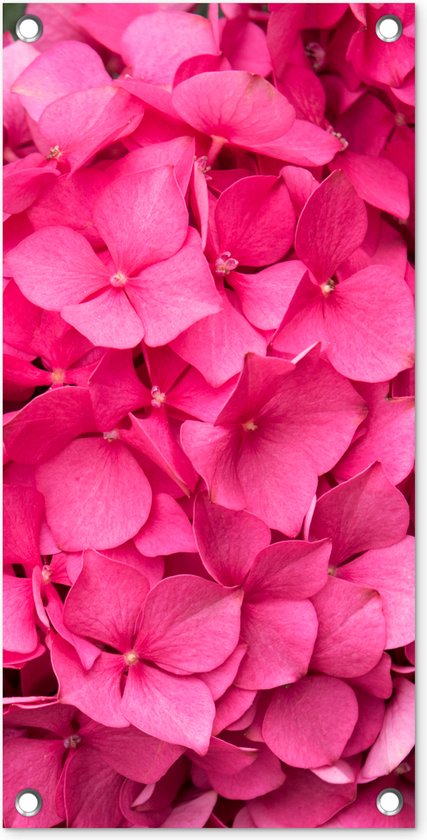 Tuinposter Close up roze hortensia bloemen - 30x60 cm - Tuindoek - Buitenposter