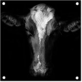 Tuinposters Portretfoto koe op zwarte achtergrond in zwart-wit - 50x50 cm - Tuindoek - Buitenposter