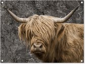 Tuinschilderij Schotse hooglander - Wereldkaart - Dieren - 80x60 cm - Tuinposter - Tuindoek - Buitenposter