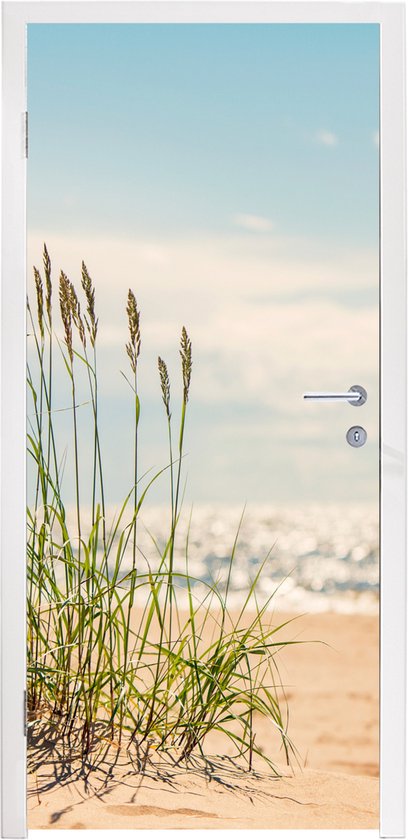 Sticker de porte Brins d'herbe dans les dunes - 80x205 cm - Poster de porte