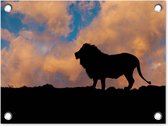 Décoration de Jardin Lion - Coucher de soleil - Sauvage - 40x30 cm - Toile de jardin - Poster extérieur