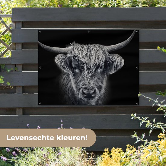 Affiche de jardin Highlander écossais - Zwart - Vache - Animaux - 130x90 cm - Décoration murale extérieure - Affiche de jardin - Toile de jardin - Affiche de clôture - Peinture de jardin