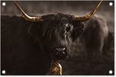Tuindecoratie Schotse hooglander - Goud - Koebel - Hoorns - Dieren - 60x40 cm - Tuinposter - Tuindoek - Buitenposter