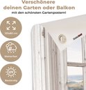 Afbeelding nummer  10