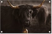 Tuindecoratie Schotse hooglander - Goud - Koebel - Hoorns - Dieren - 60x40 cm - Tuinposter - Tuindoek - Buitenposter