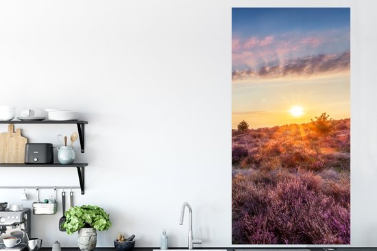 Affiche Bruyère en fleurs au coucher du soleil aux Pays- Nederland - 80x160 cm