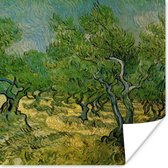 Poster Olijfgaard - Vincent van Gogh - 30x30 cm