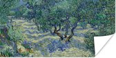 Poster De Olijfgaard - Vincent van Gogh - 120x60 cm