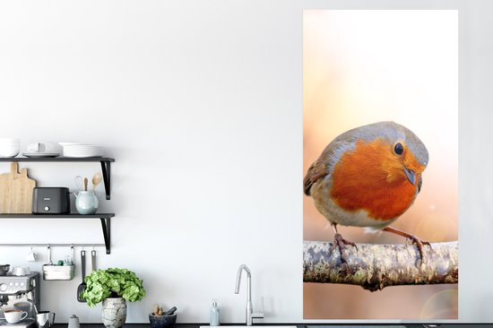 Affiche Robin - Branche - Arbre - 75x150 cm