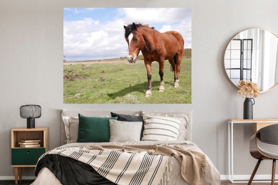 Poster Cheval se dresse dans l'herbe 180x120 cm - Tirage photo sur Poster (décoration murale salon / chambre) / Poster Animaux XXL / Groot format!
