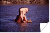 Nijlpaard gaap in het water Poster 180x120 cm - Foto print op Poster (wanddecoratie woonkamer / slaapkamer) / Wilde dieren Poster XXL / Groot formaat!