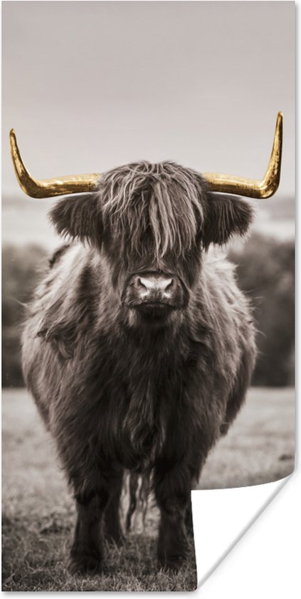Poster Schotse hooglander - Goud - Hoorns - 60x120 cm