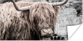 Affiche Scottish Highlander - Vintage - Boek - 120x60 cm