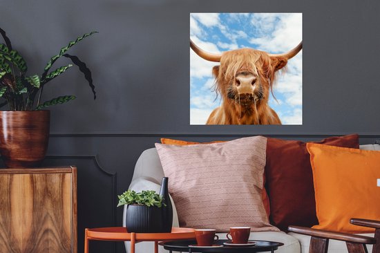 Affiche Highlander écossais - Nuage - Animaux - 50x50 cm