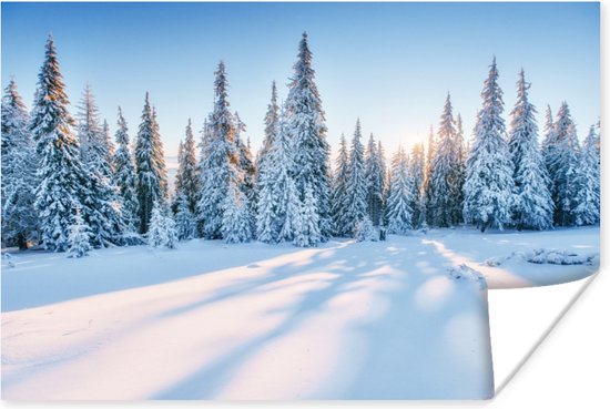 Poster Bos - Sneeuw - Winter - 180x120 cm XXL