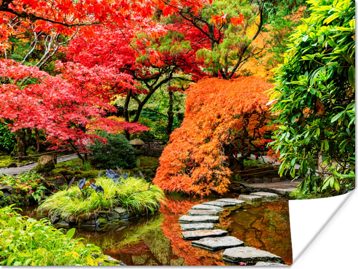 Poster Bomen - Japans - Stenen - Pad - Natuur - 80x60 cm