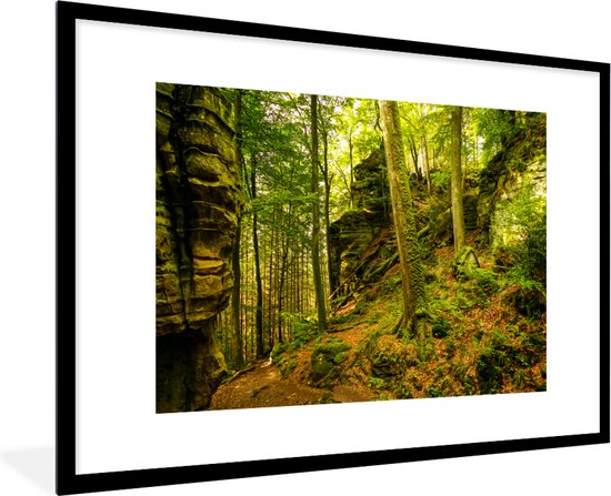 Fotolijst incl. Poster - Bomen - Steen - Bos - Natuur - Planten - 120x80 cm - Posterlijst