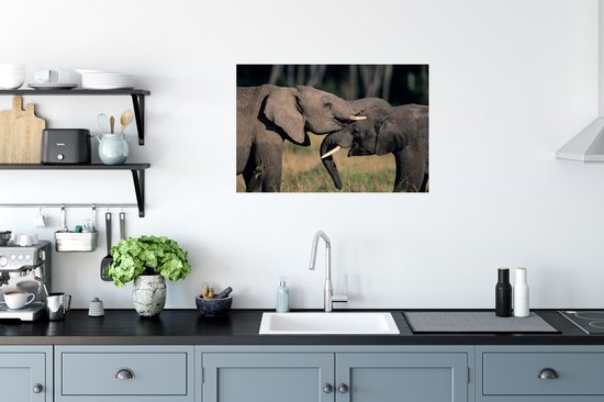 Affiche - Éléphants gambadants - 90x60 cm