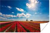 Poster Indrukwekkend tulpenveld in Nederland - 90x60 cm