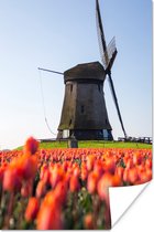 Poster Een molen met tulpen - 120x180 cm XXL