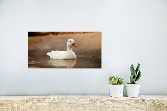 Poster Eend - Vogel - Water - Wit - 40x20 cm