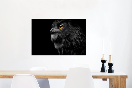 Affiche Chouette - Vogel - Zwart - Portrait - 60x40 cm