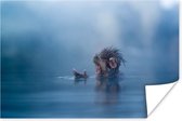 Poster Aap - Japans - Water - Dieren - Natuur - 180x120 cm XXL