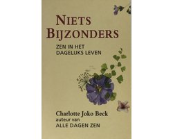 Niets Bijzonders