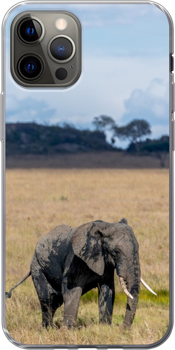 Telefoonhoesje Geschikt voor iPhone 13 Pro hoesje - Olifant - Gras - Dieren - Natuur - Siliconen Telefoonhoesje Telefoonhoesje