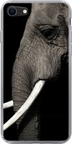 Geschikt voor iPhone SE 2020 hoesje - Olifant - Dier - Slagtand - Siliconen Telefoonhoesje