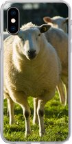 Geschikt voor iPhone X hoesje - Schapen - Dieren - Wol - Siliconen Telefoonhoesje