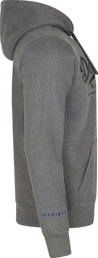 Zij-aanzicht van grijze hoodie van DENIMFY met opdruk 'DENIMFY' op de mouw.