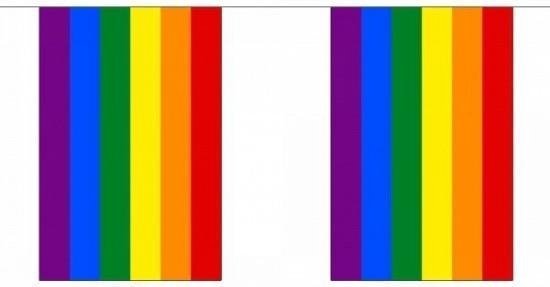 Ligne de drapeau arc-en-ciel / arc-en-ciel carré 36 m - Drapeau arc-en-ciel  - Pride... | bol