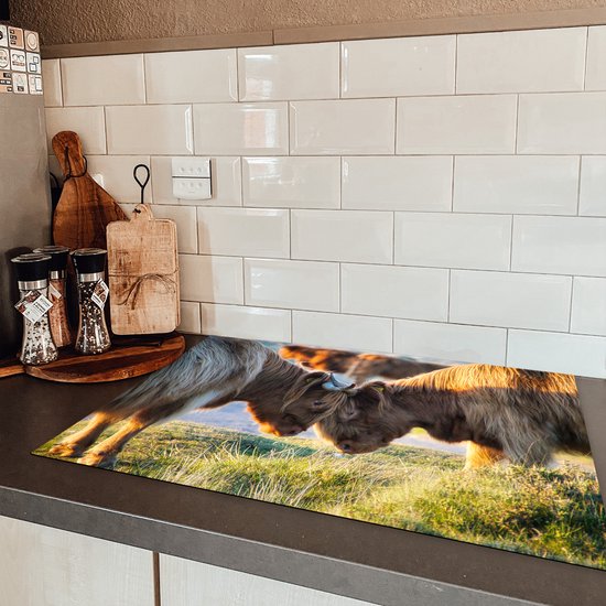 KitchenYeah® Inductie beschermer 78x52 cm - Schotse Hooglanders - Dieren - Zon - Kookplaataccessoires - Afdekplaat voor kookplaat - Inductiebeschermer - Inductiemat - Inductieplaat mat